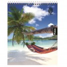 CUADERNO UNIVERSITARIO PARA ZURDOS 7 MM DISEÑOS SURTIDOS 100 HOJAS