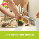 ESPONJA ACANALADA MULTIUSO 4 UN