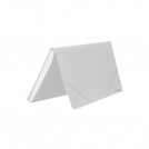 CARPETA FUELLE 12 DIVISIONES RAYADO TRANSPARENTE