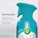DESODORANTE AMBIENTAL PURE AIRE FRESCO 250 ML