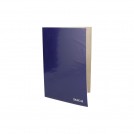 CARPETA PLASTIFICADA AZUL AUCA