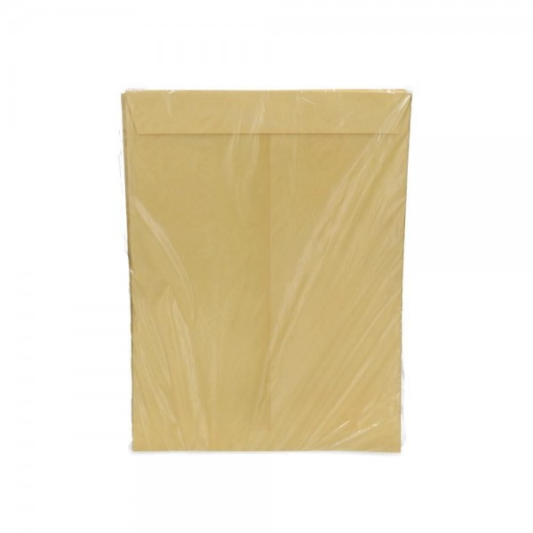 SOBRE SACO EXTRA OFICIO GOLDEN 100 GR 25 UN