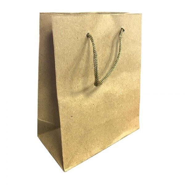 BOLSA DE PAPEL KRAFT 20 X 15 CM COTILLON 12 UN