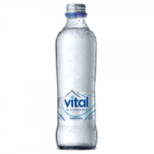 AGUA CON GAS BOTELLA VIDRIO 330 ML
